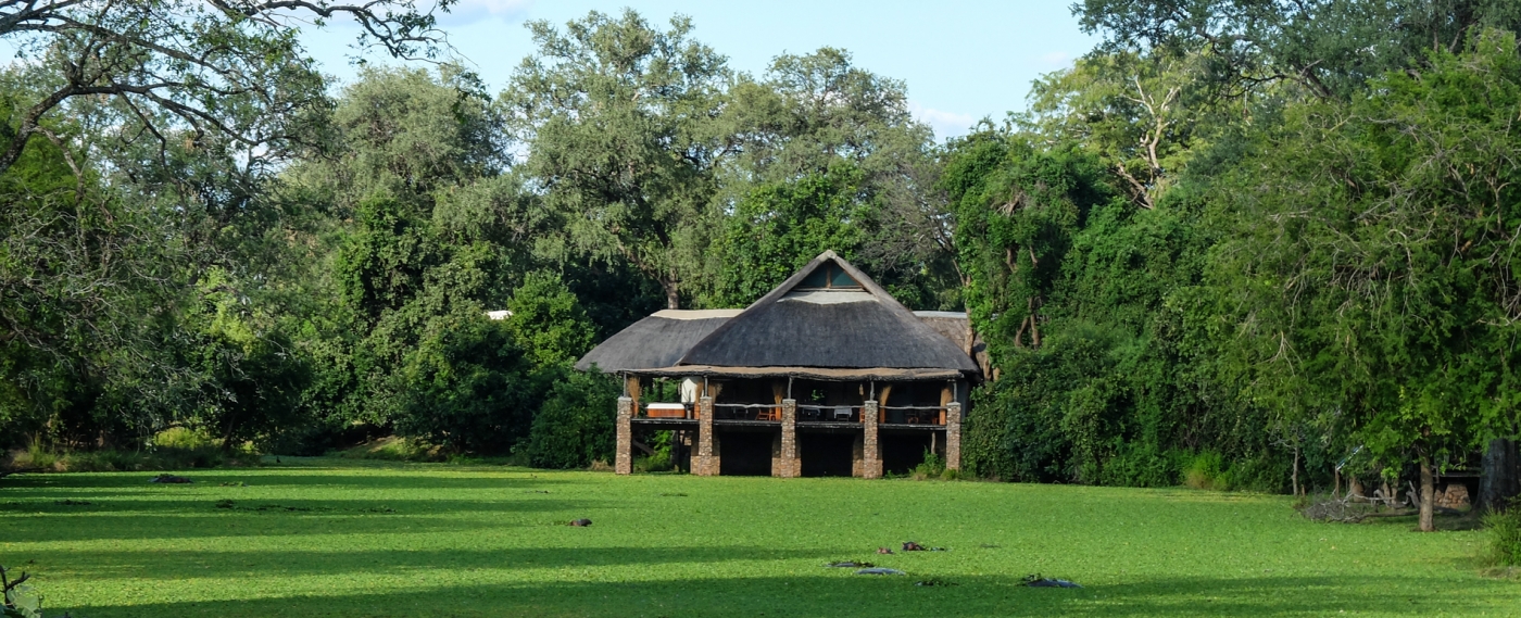 Treading in it | Walking in lion territory in South Luangwa National Park