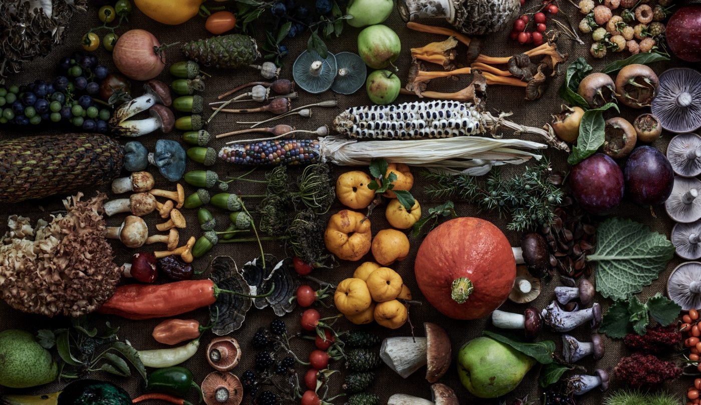 Noma 2.0 | Now what?