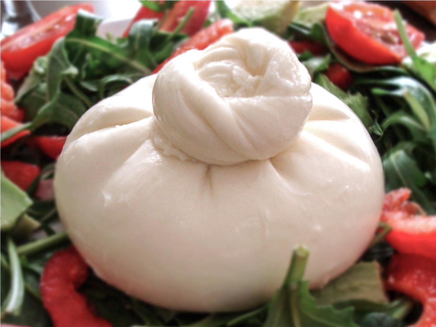 The best burrata in the world