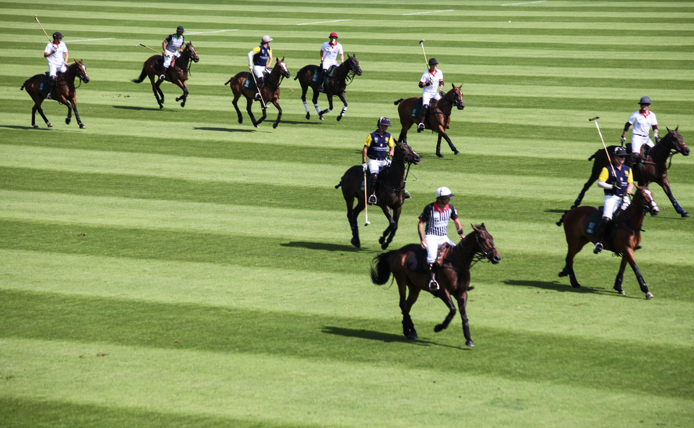 How to enjoy polo when you hate it | Karen Krizanovich rides again