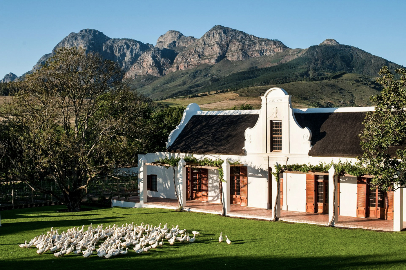 What’s wrong with Babylonstoren?