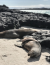 Land of plenty | A cruise-free guide to the Galápagos