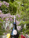 Effervesce sense | Karen Krizanovich on the best rosé champagnes