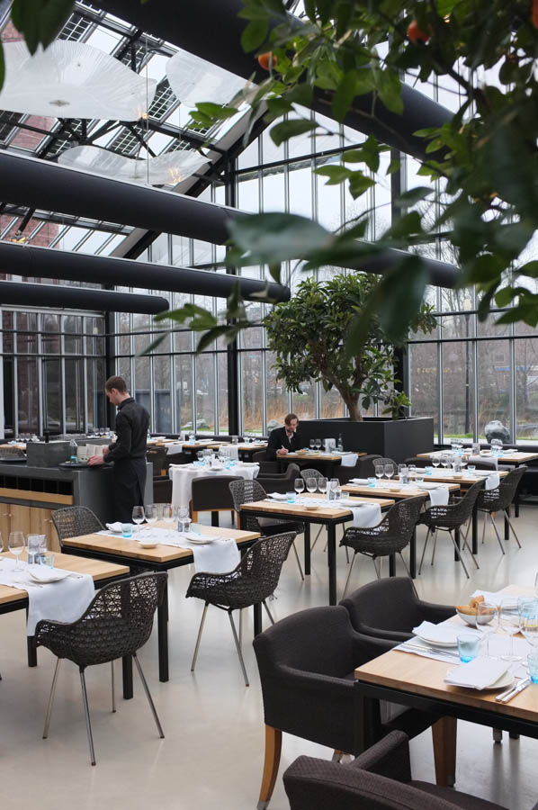 De Kas, review, best restaurants in Amsterdam