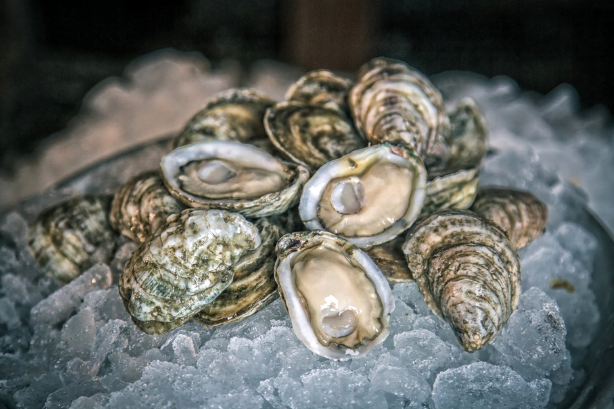 aw-shucks-where-to-eat-oysters-in-london-karen-krizanovich