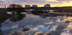 Derek Jarman's Prospect Cottage | Simon Costin Steps Inside An Art ...